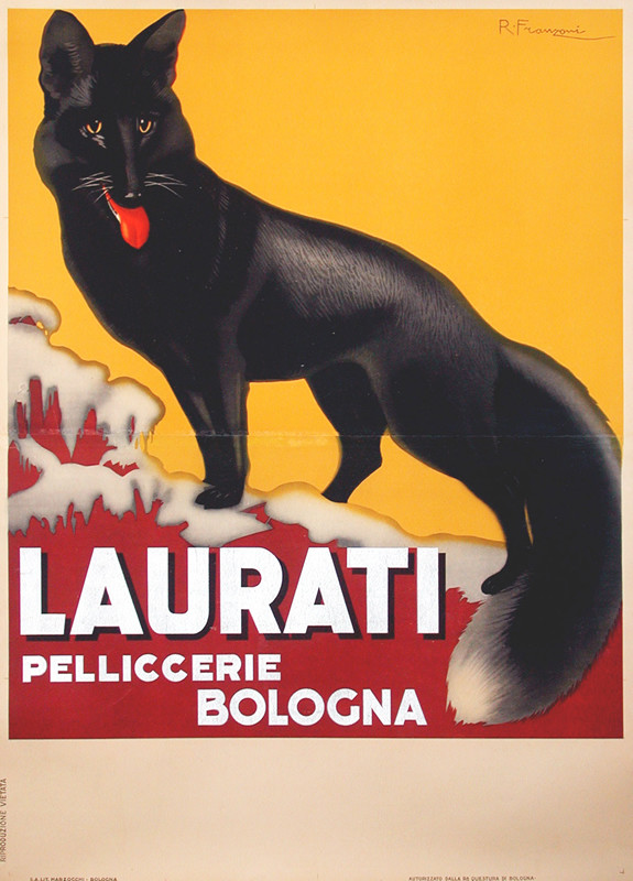 Panting black fox on snow; orange, silver, red, black