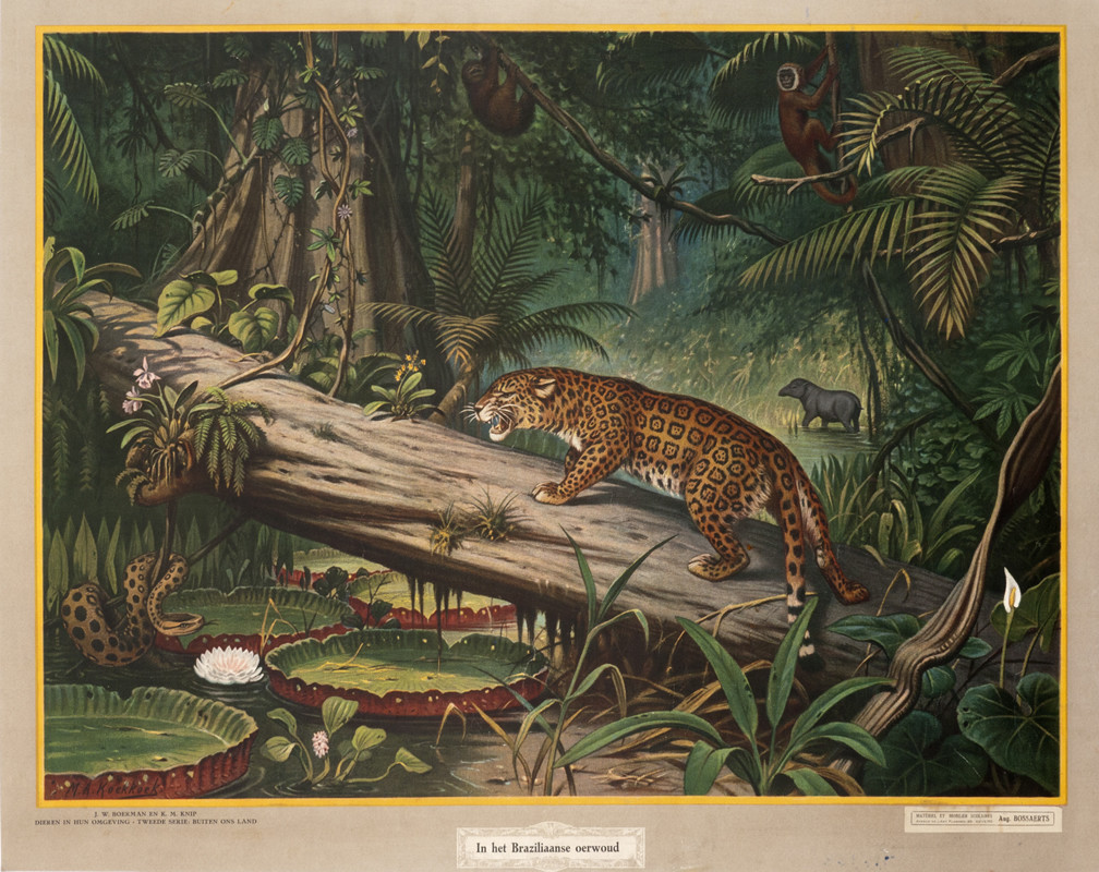 Brazilian jungle scene with a jaguar, snake, sloth, monkeys; green, brown