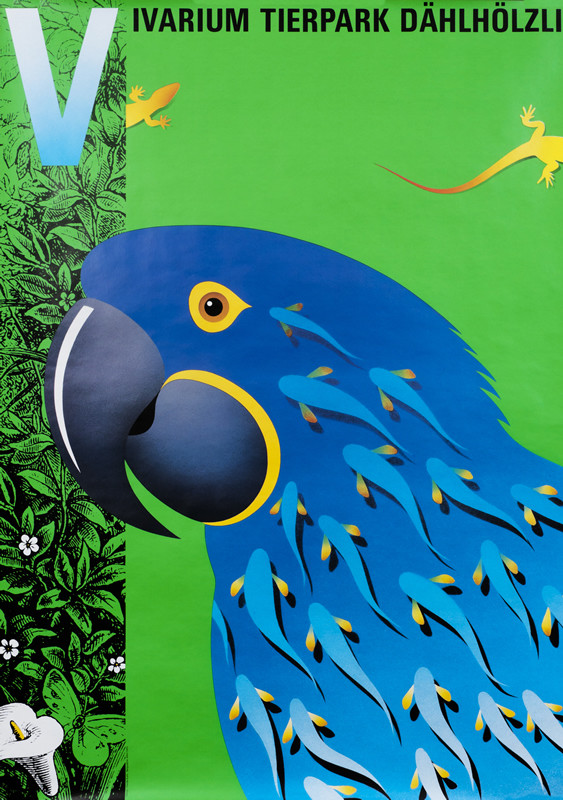 Parrot, salamanders and tadpoles