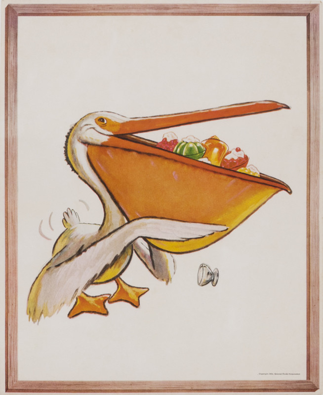 Pelican stuffs jello in beak; white, orange, yellow
