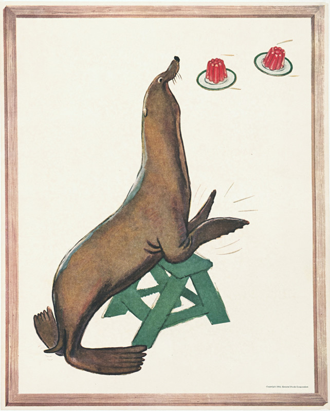 Seal catches plates of jello; gray, red