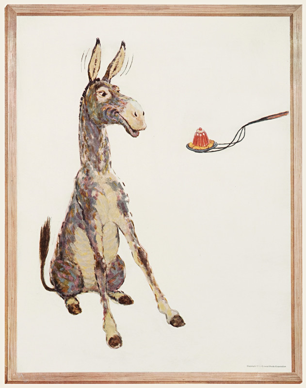 Mule offered Jello; gray, red