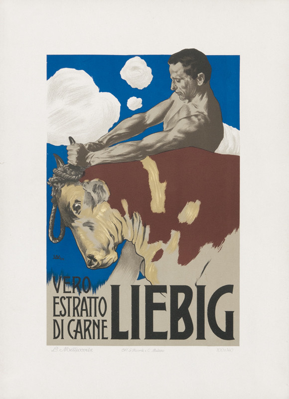 Man against cow; brown, blue