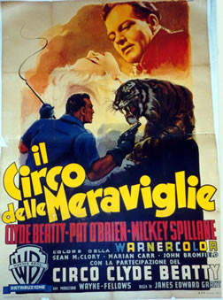 Man vs tiger; yellow, black, blue, tan, brown, red