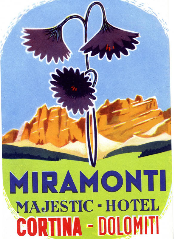 Three flowers pictured against mountain backdrop; purple, blue, green