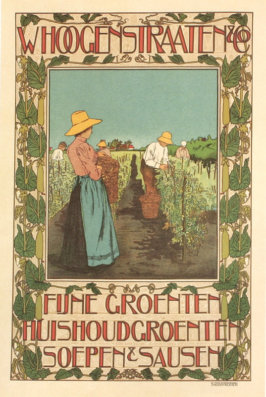 Workers picking beans in the field; blue, green