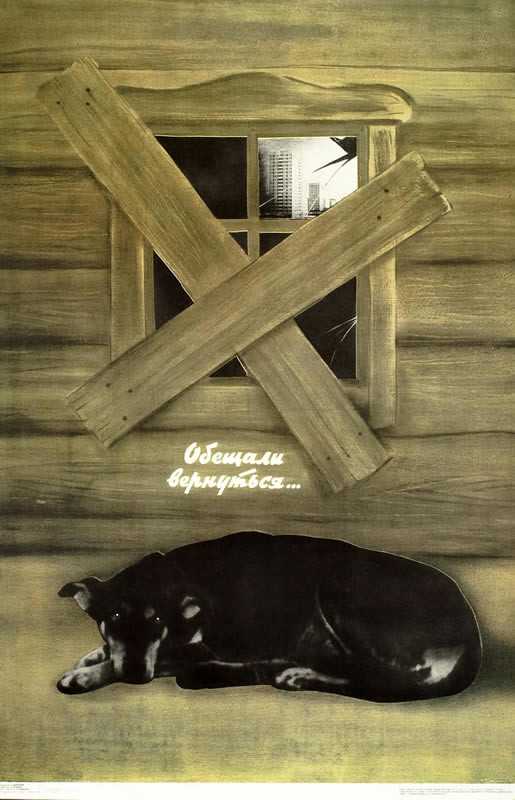Dog underneath boarded window; black, brown, white
