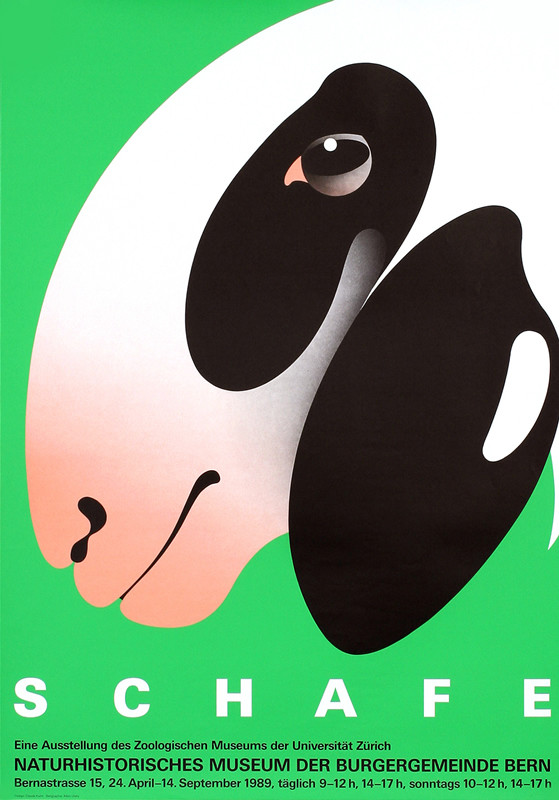 Close-up profile of lamb's head; green, black
