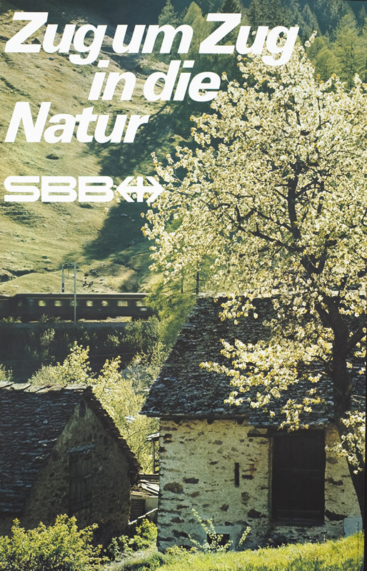 Train travels through countryside with stone building and flowering tree in foreground; green, yellow, gray, brown