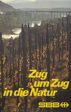 Close-up of vineyard, town behind, train travelling on bridge in distance; yellow, brown, blue