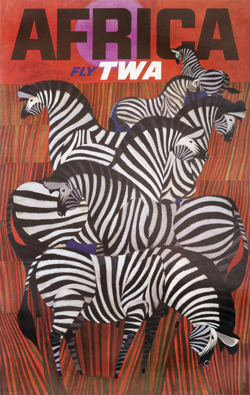 Herd of zebras in tall striped grass under red sky; black, red, brown, purple