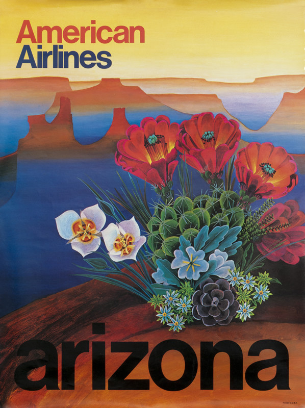 Landscape view with mountains in the background and close-up of cactus and flowers; blue, red, white, yellow, green, black