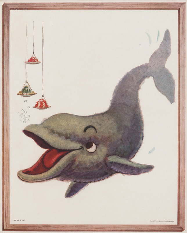Dolphin opens mouth for jello; gray, red