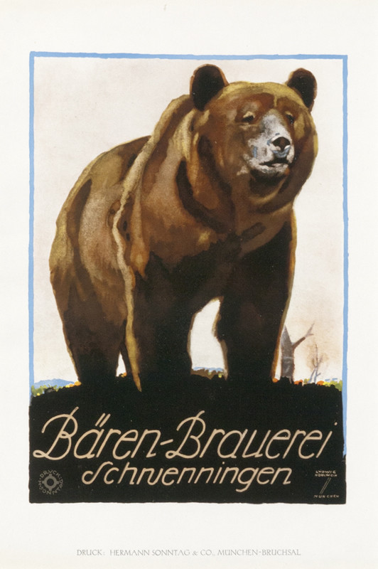 big bear stands on ground; brown, black